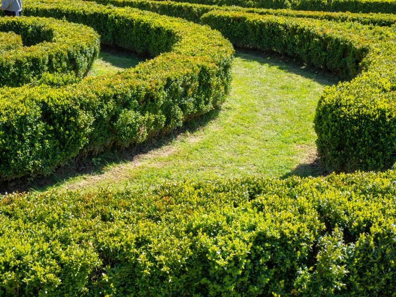 Bush Landscaping in Ventura County, CA