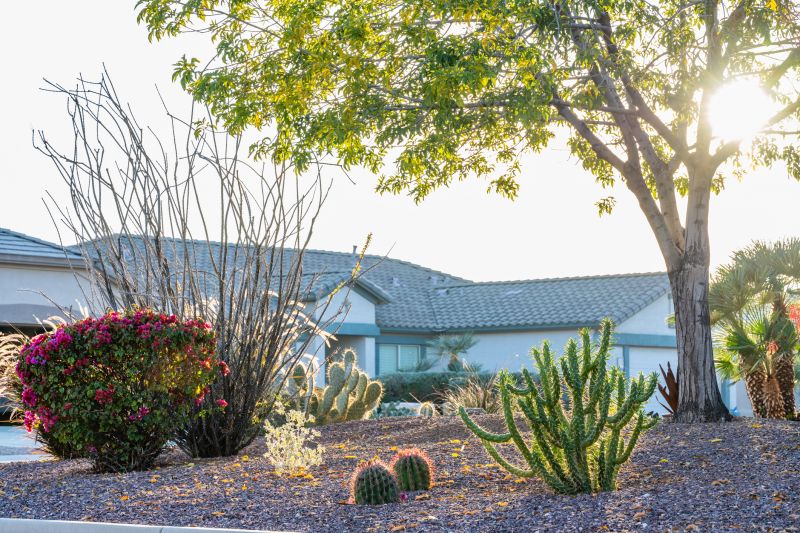 Dryscape Landscaping in Honolulu, HI