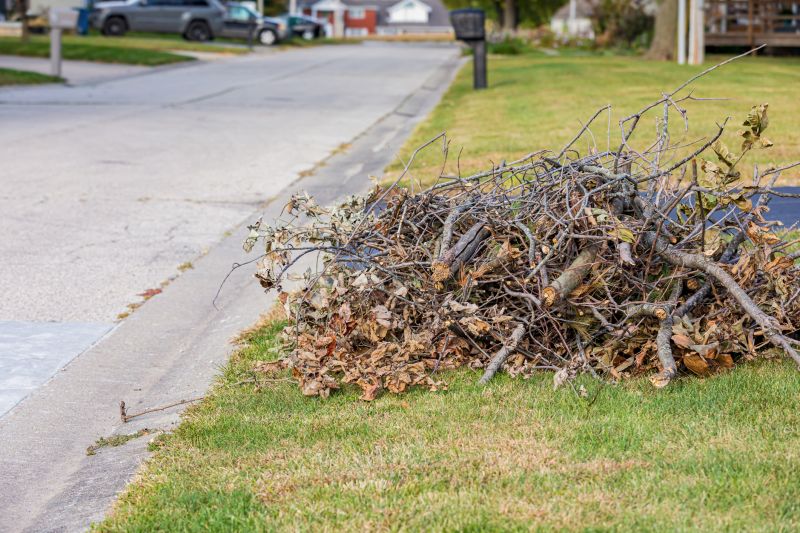 Tree Branch Disposal in Ventura County, CA