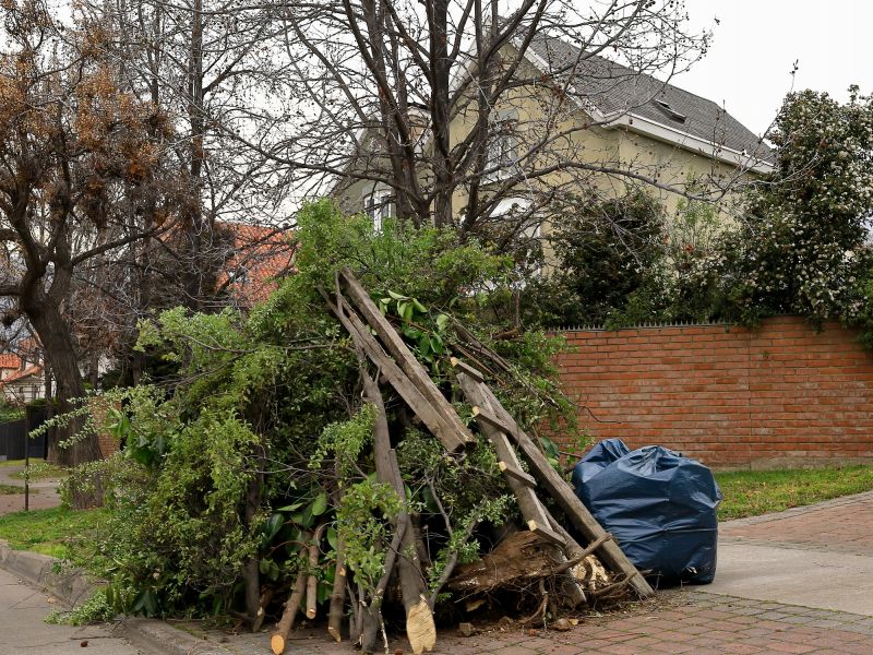 Tree Debris Removal in Ventura County, CA