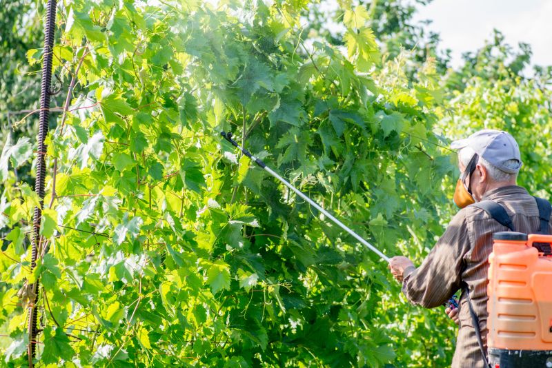 Arborist Spraying in Reno, NV