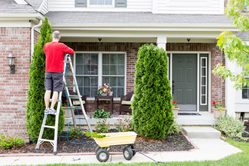 Arborvitae Pruning in Honolulu, HI