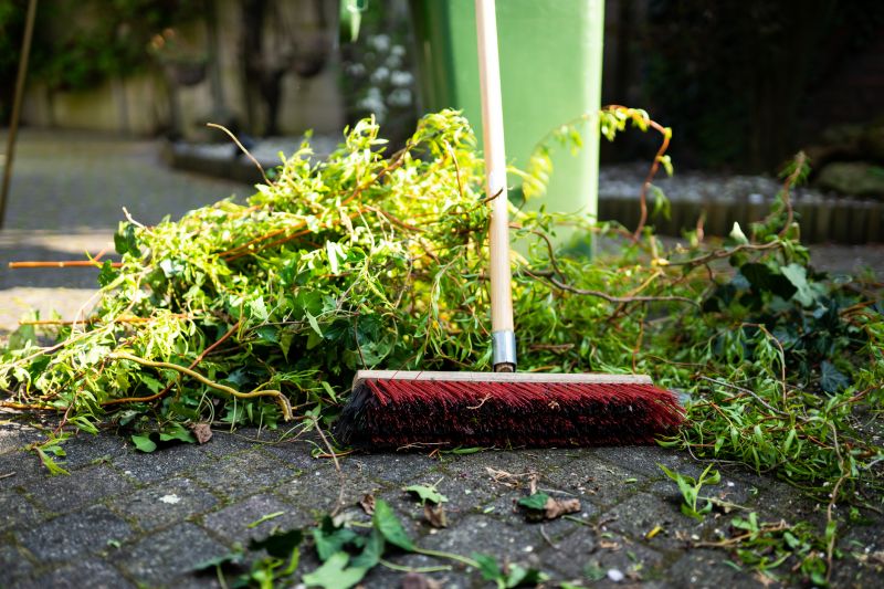 Brush Cleaning Service in Ventura County, CA