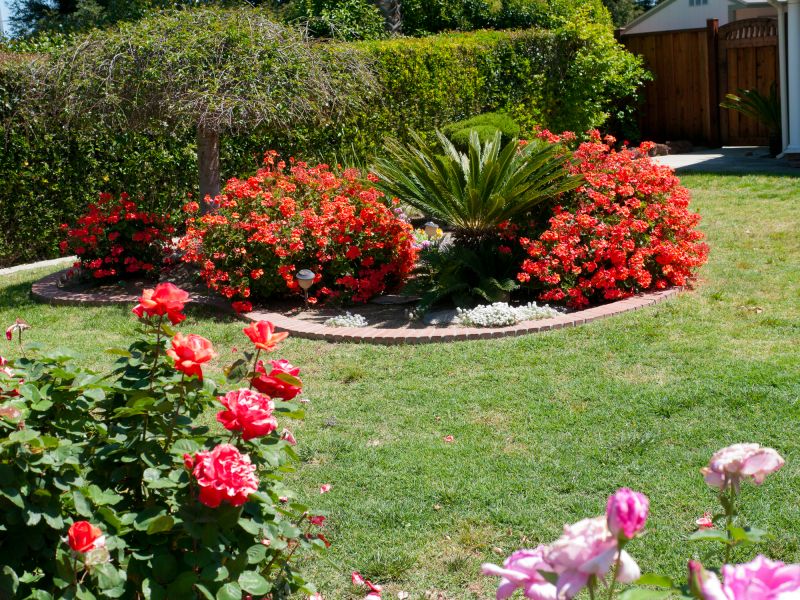 Bush Landscaping in Ventura County, CA