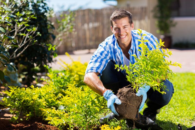 Bush Replacement in Honolulu, HI