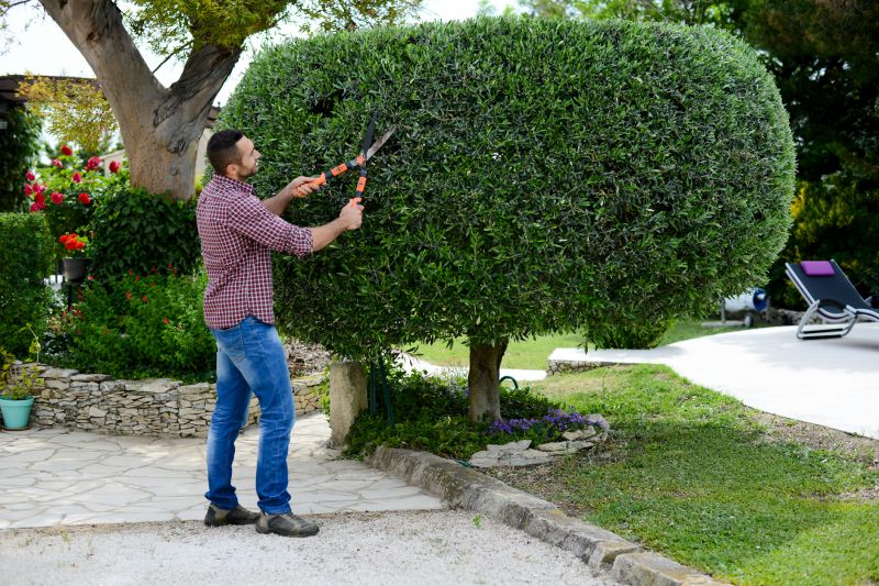 Bush Trimming Service in Ventura County, CA