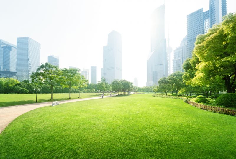 Commercial Landscape Design in Honolulu, HI