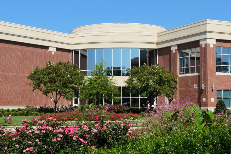 Commercial Landscaping in Honolulu, HI