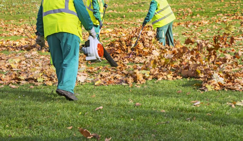 Commercial Leaf Removal in Ventura County, CA