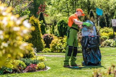 Commercial Leaf Removal in Ventura County, CA