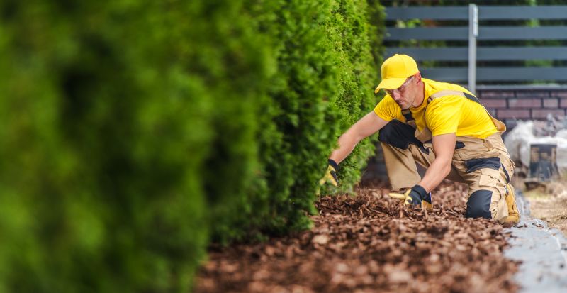 Cypress Mulch Installation in Ventura County, CA