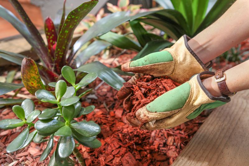 Cypress Mulch Installation in Ventura County, CA