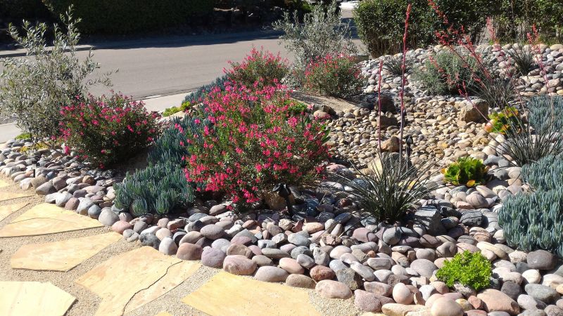 Dryscape Landscaping in Ventura County, CA