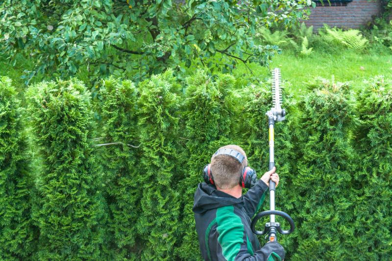 Evergreen Hedge Trimming in Honolulu, HI