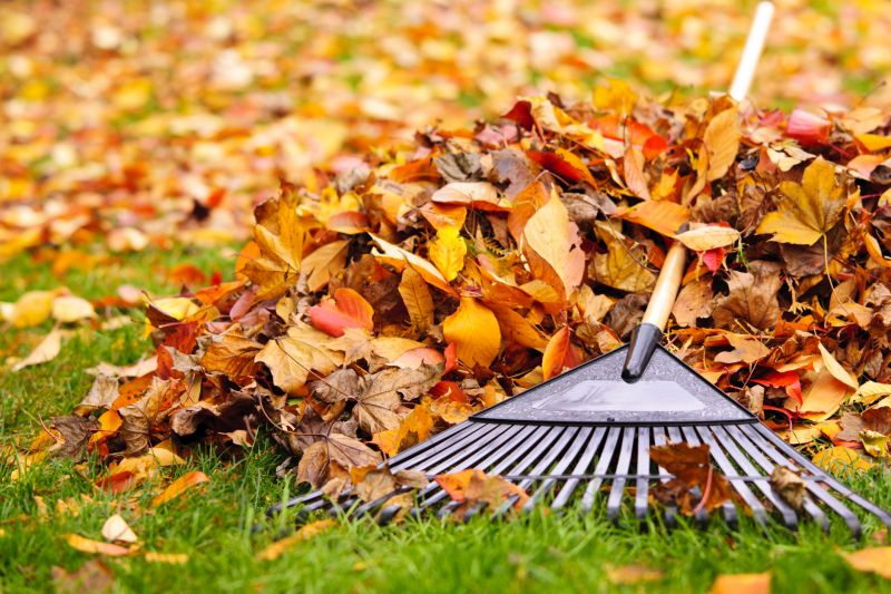 Tools for Fall Yard Maintenance