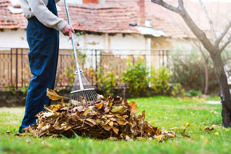 Fall Lawn Cleanup Service in Ventura County, CA