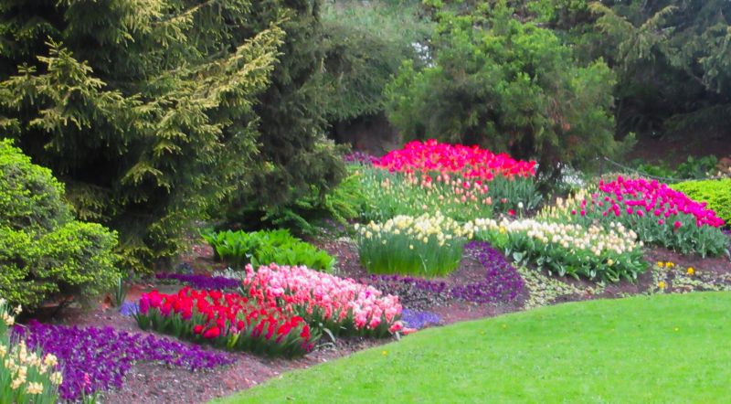 Flower Landscaping in Honolulu, HI