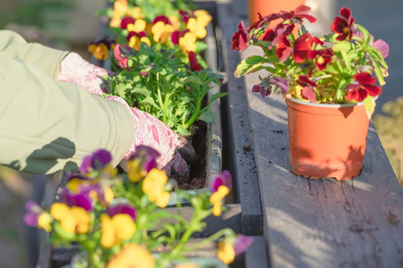 Flower Planting Service in Ventura County, CA