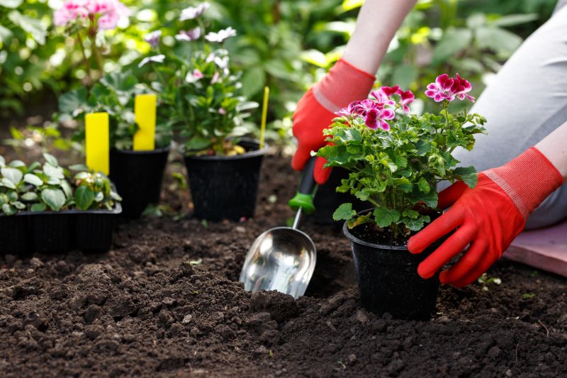 Flower Planting Service in Ventura County, CA