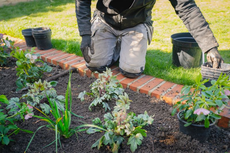 Garden Border Replacement in Honolulu, HI