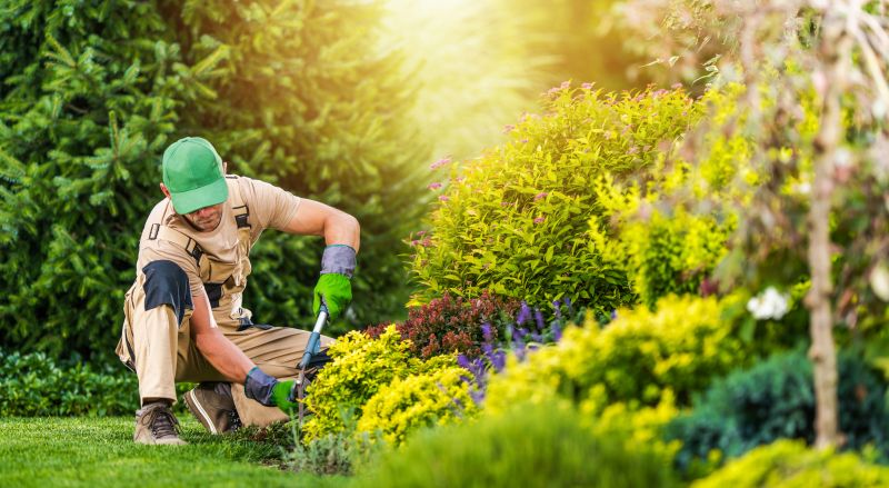 Garden Cleanup Service in Honolulu, HI