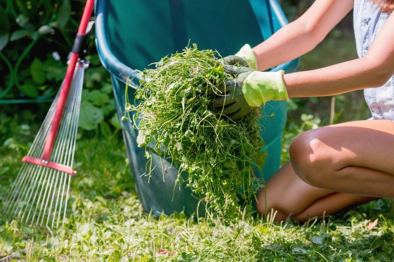 Garden Cleanup Service in Ventura County, CA