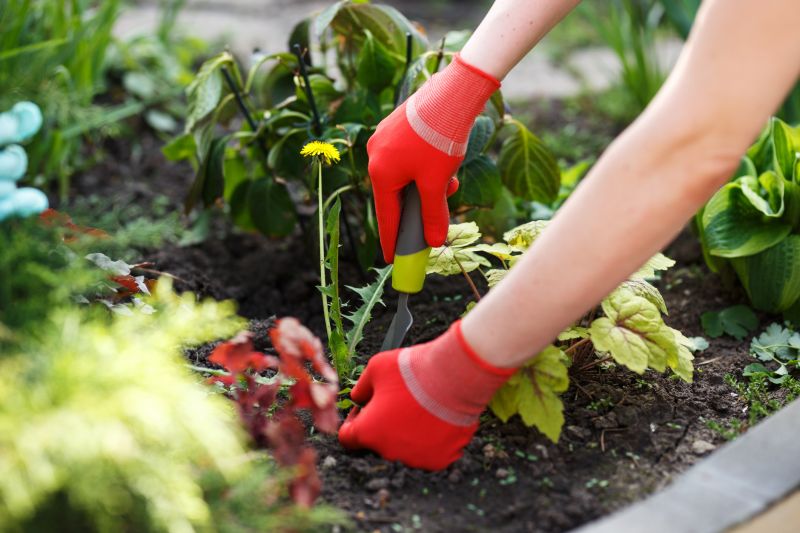 Garden Deweeding in Aiken, SC