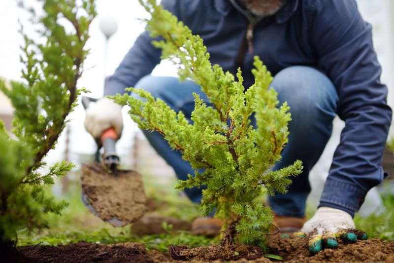 Greenery Planting in Honolulu, HI