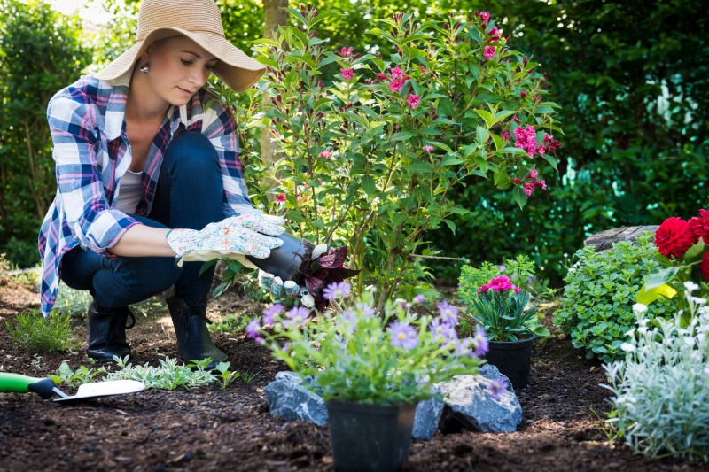 Ground Cover Planting in Ventura County, CA