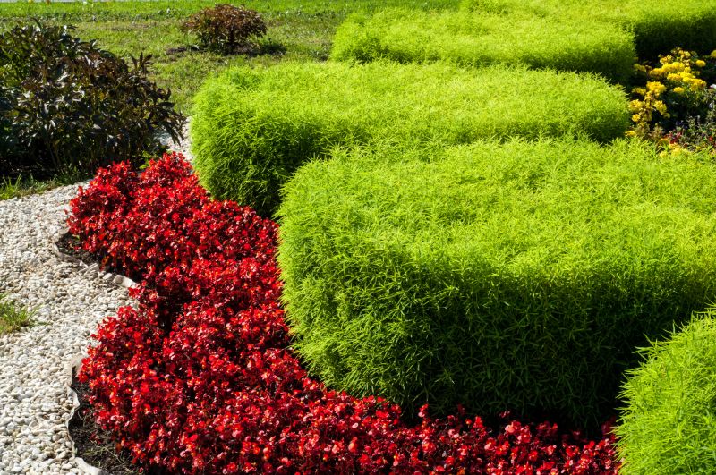 Hedge Planting in Ventura County, CA