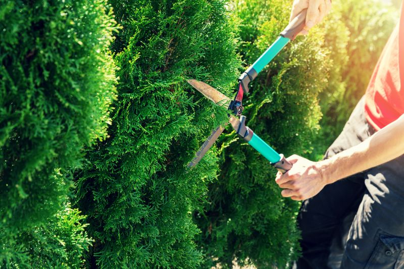 Hedge Pruning in Honolulu, HI
