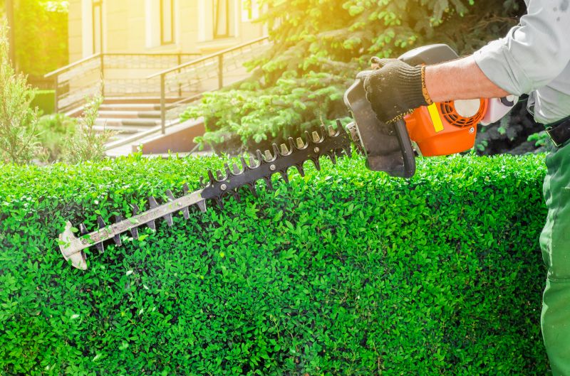 Hedge Removal Service in Honolulu, HI
