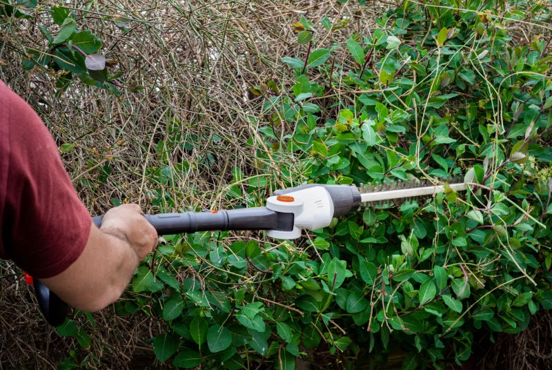 Hedge Replacement in Ventura County, CA