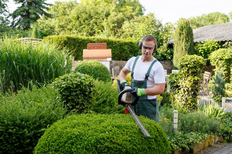 Hedge Shaping Service in Honolulu, HI