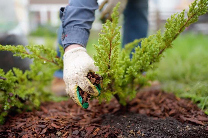 Hotel Mulching in Ventura County, CA