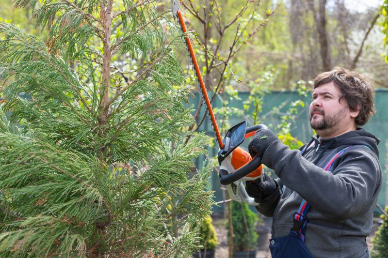 Juniper Trimming in Honolulu, HI