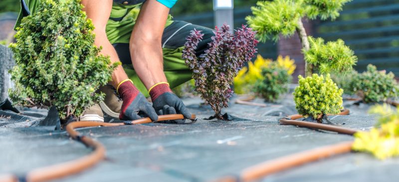 Landscaping Installation in Ventura County, CA