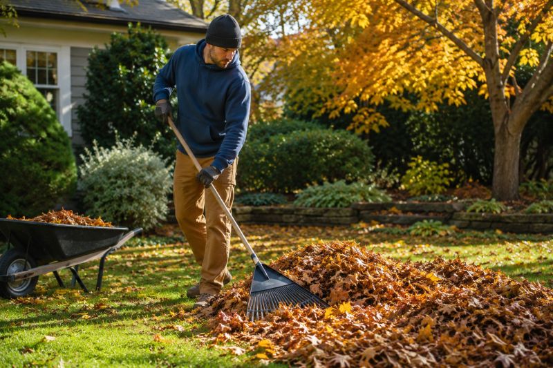 Leaf Raking Service in Ventura County, CA