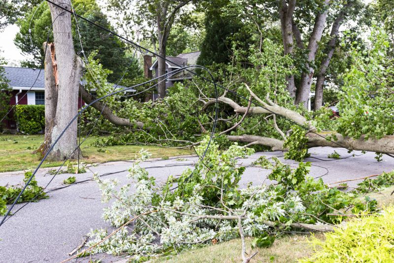 Limbs Removal in Honolulu, HI