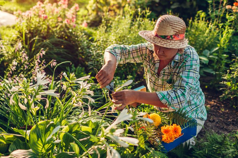 Perennial Landscaping in Ventura County, CA