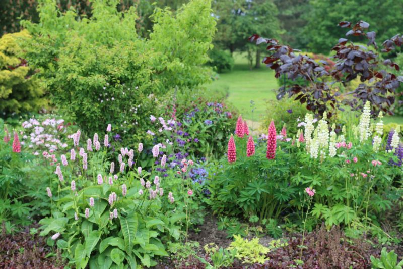 Perennials Planting in Honolulu, HI