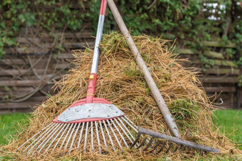 Pine Needles Removal in Honolulu, HI