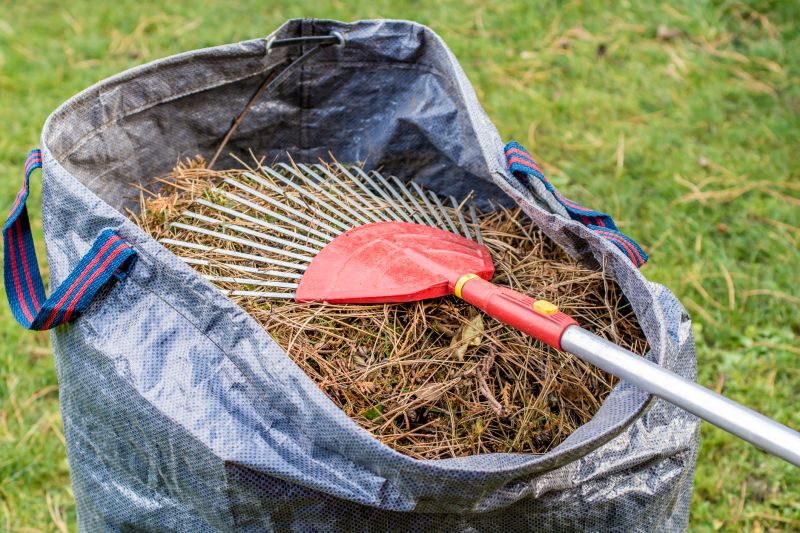 Pine Straw Raking in Ventura County, CA