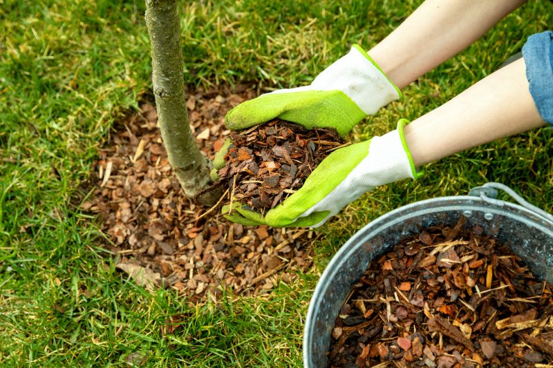 Shredded Mulch Installation in Ventura County, CA