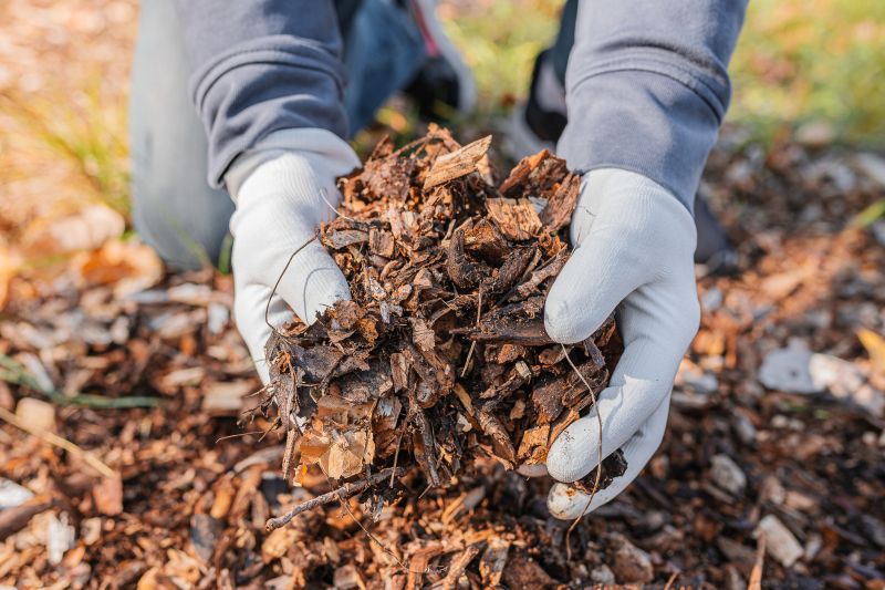 Shredded Mulch Service in Ventura County, CA