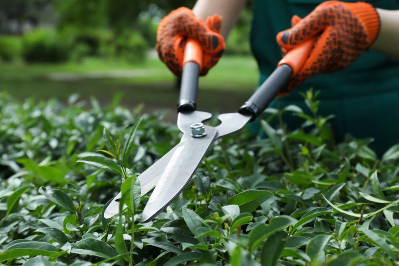 Shrub Pruning in Honolulu, HI