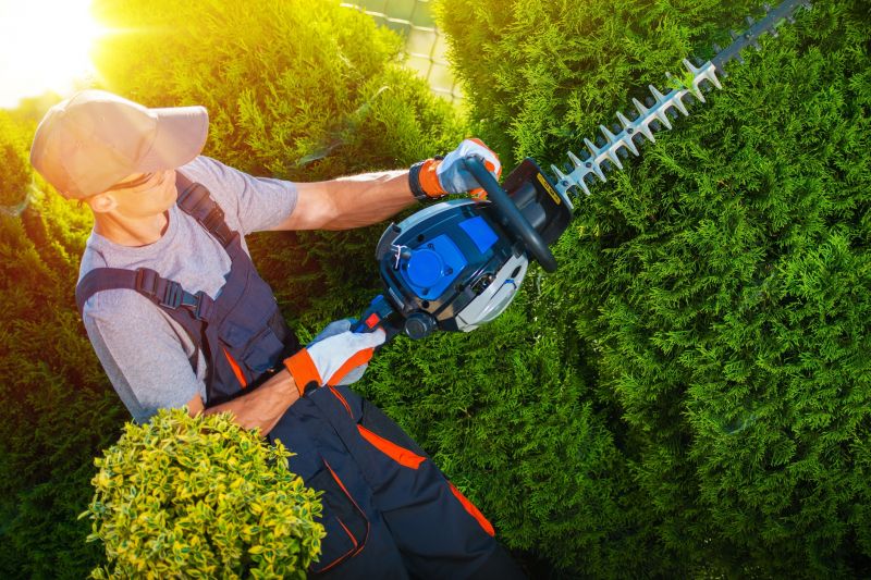 Shrub Trimming in Honolulu, HI