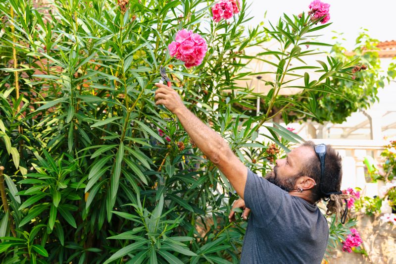Shrub Trimming in Honolulu, HI
