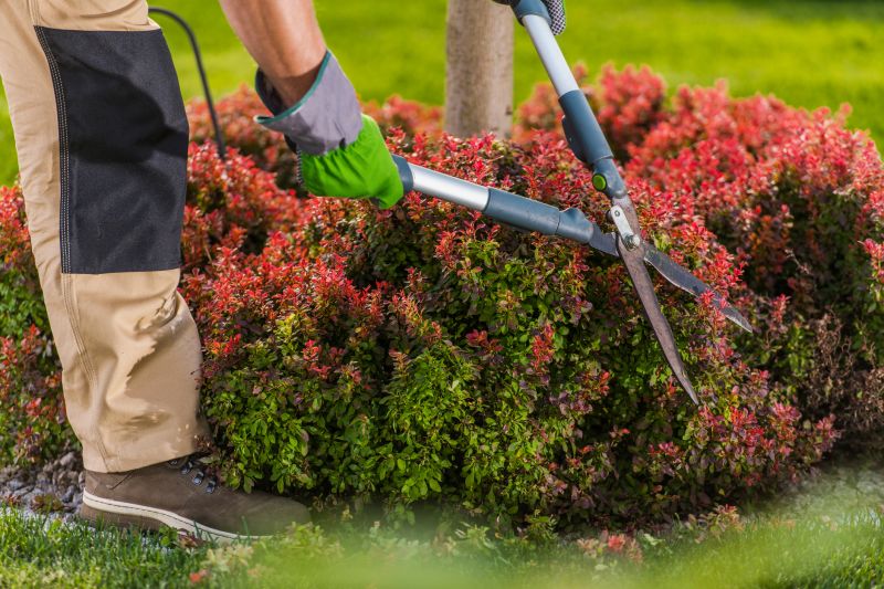 Shrub Trimming in Honolulu, HI