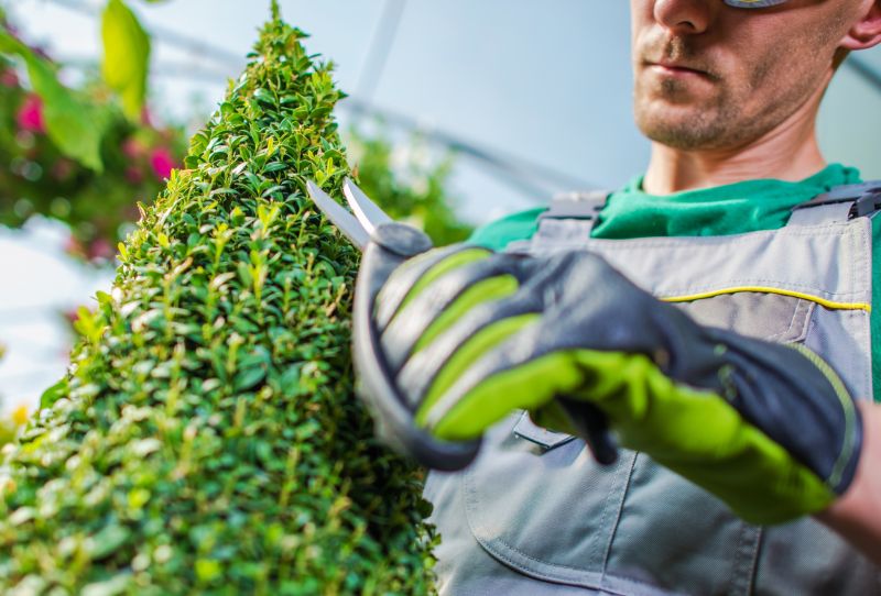 Shrub Trimming in Honolulu, HI